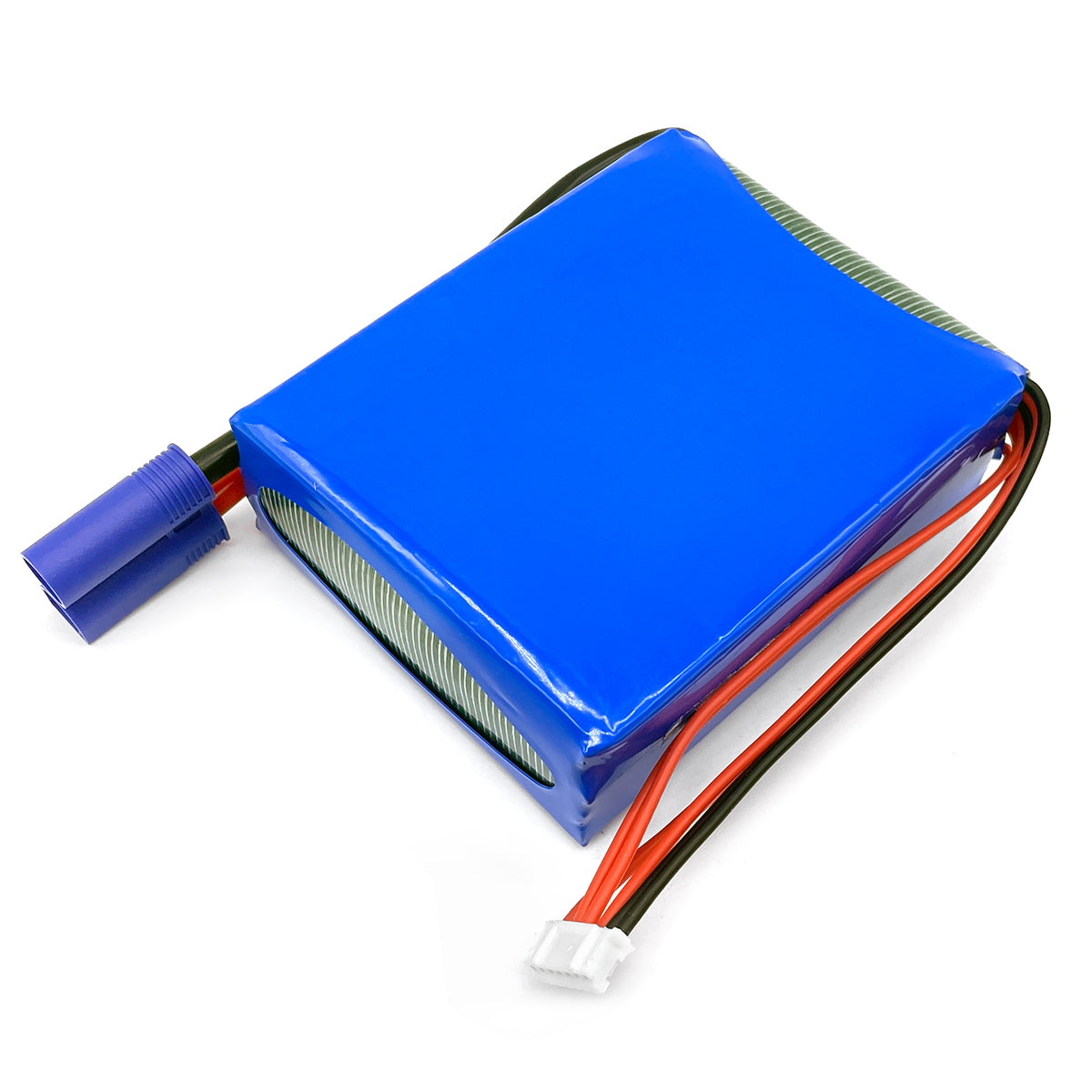 857084 -Back