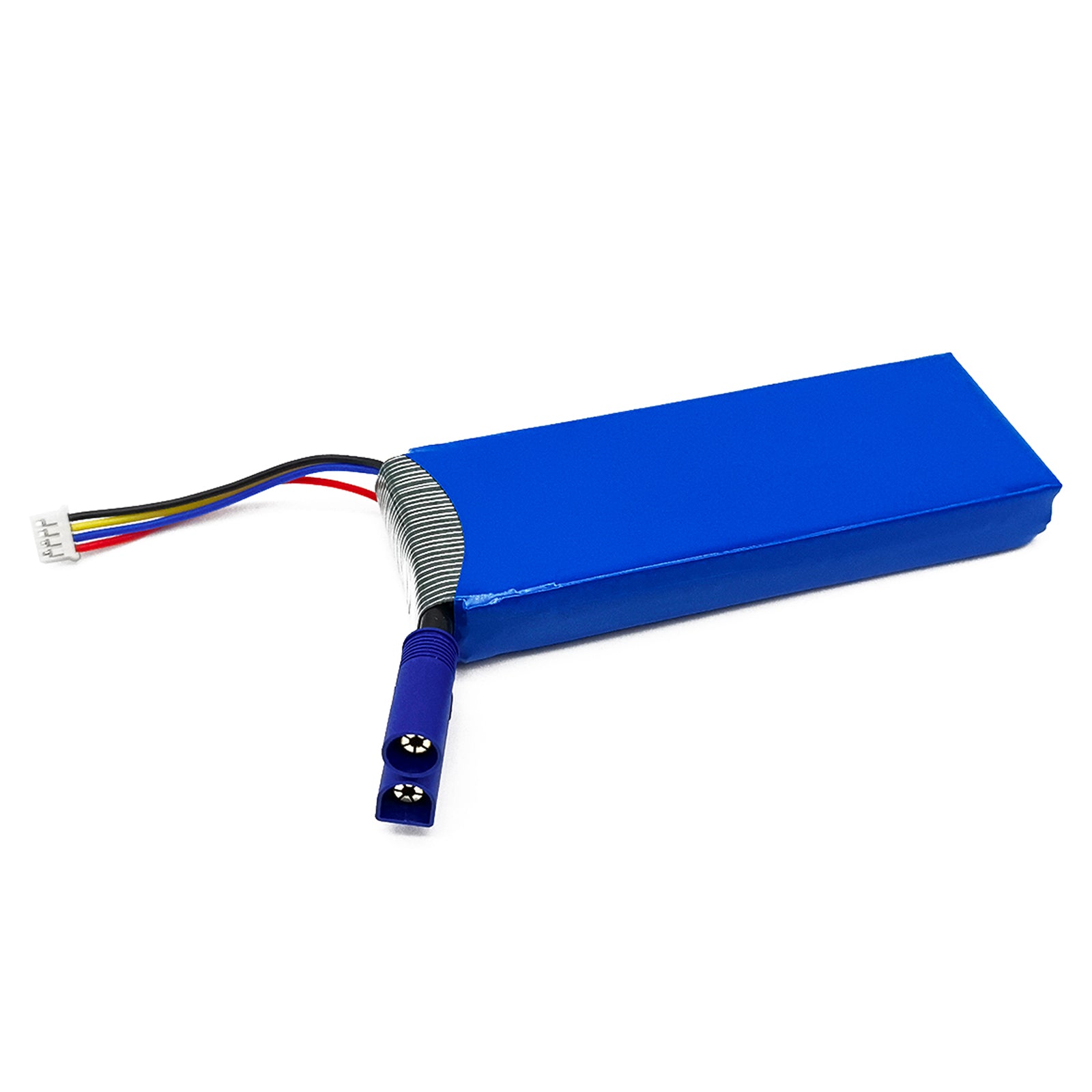  5642125-Back